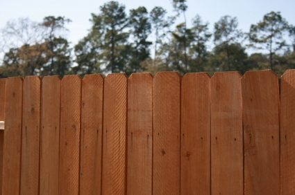Fence Panels Vancouver - Fence Image 3